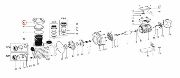 Гайка крышки префильтра насоса QP Starpump Pro (11000458)