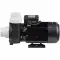 Насос Aquaviva LX WP250-II (220 В, 37 м3/ч, 0.5/2.5 л.с.)