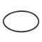 Уплотнительное кольцо диффузора Emaux (02011004)