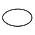Уплотнительное кольцо диффузора Emaux (02011004)