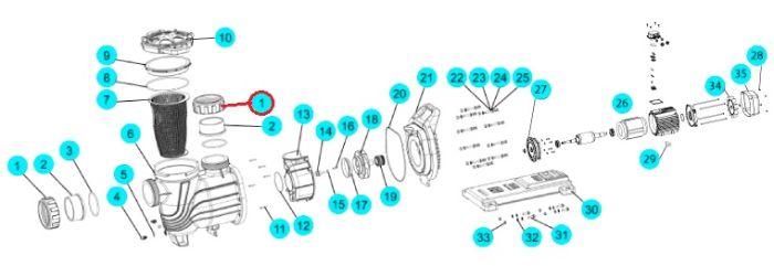 Гайка соединительная насоса SLP, (A31020025 №1)