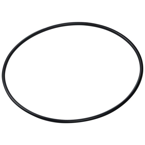 Уплотнительное кольцо корпуса насоса Aquaviva BJZ (F02010097 №6)